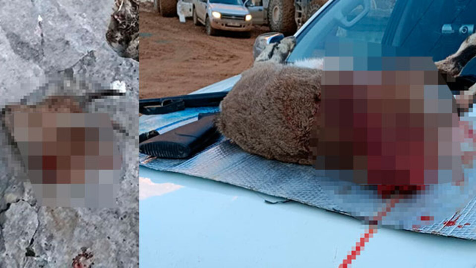 Jandarma affetmedi! Ceza üstüne ceza yağdı