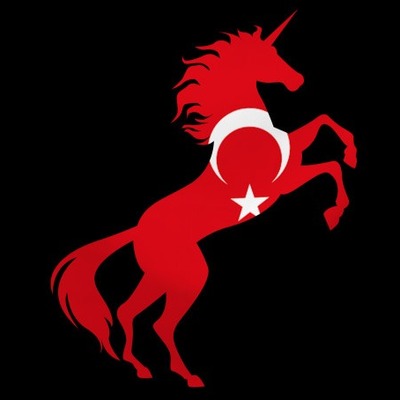 ‘Türk unicorn’u bu alandan çıkacak’