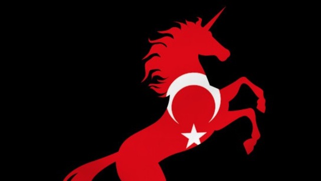 'Türk unicorn'u bu alandan çıkacak'
