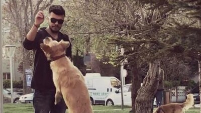 Paylaşılamayan köpek davasında emsal karar