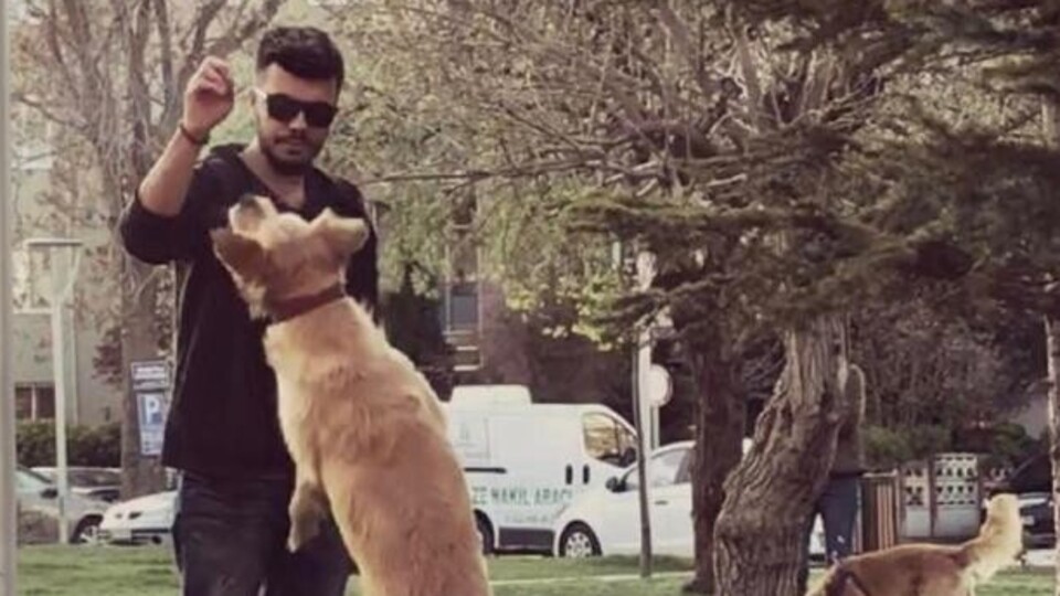 Paylaşılamayan köpek davasında emsal karar