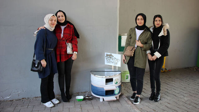Atık araç lastikleri kedilere yuva oldu