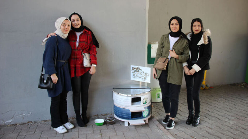 Atık araç lastikleri kedilere yuva oldu