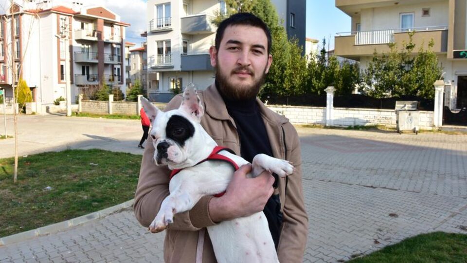 Köpeğini tekmeleyenin burnunu kırdı