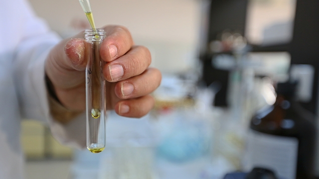 "Gıda mahkemesi ve gıda polisi" önerisi