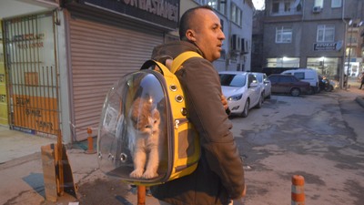 Sahiplendiği kediyi çantada gezdiriyor