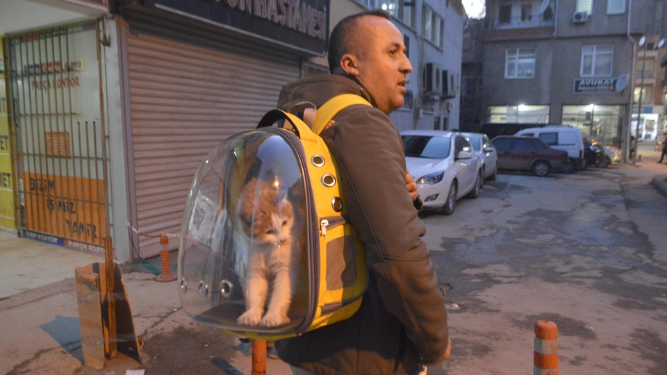 Sahiplendiği kediyi çantada gezdiriyor