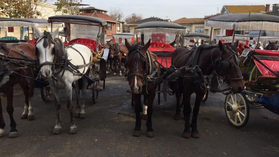 İBB Meclisi'nde fayton kararı çıktı