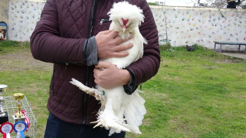 Şampiyon oldu... Paha biçilemiyor!