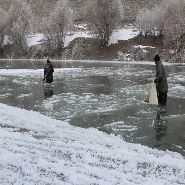 Buz gibi suda yakaladılar!