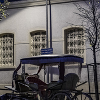 Faytonların kaldırılmasından sonra atların akıbeti ne olacak?