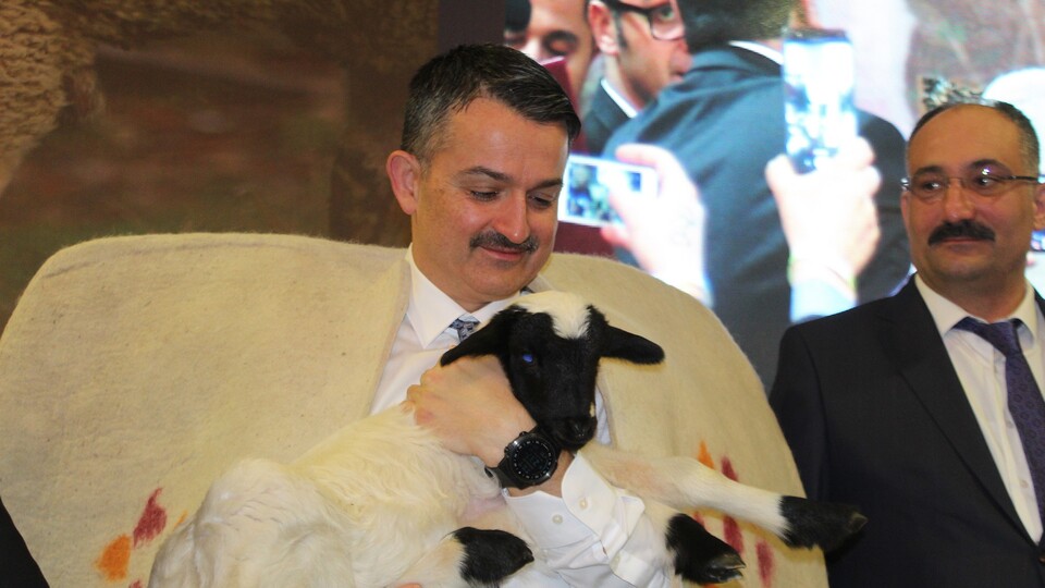 Ödemeler bugün başlıyor