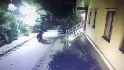 'Baykuş çetesi' kadraja takıldı!