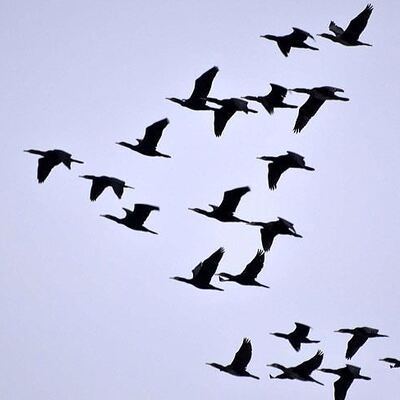 Uzmanlardan korkutan uyarı! Sakın dokunmayın