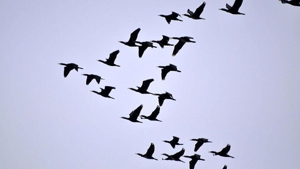 Uzmanlardan korkutan uyarı! Sakın dokunmayın