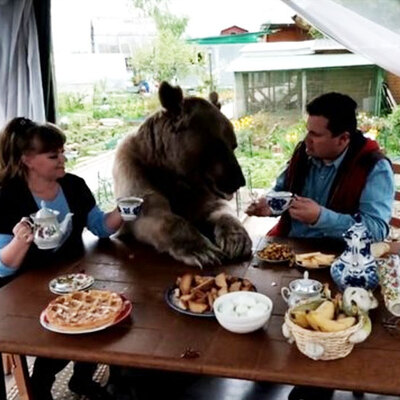 Apartmanda puma besliyorlar!