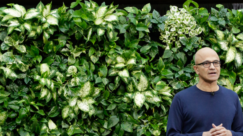 2050'ye kadar temizleyecek