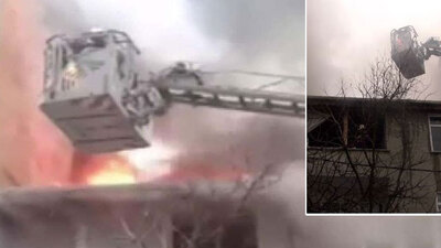 Bir ağaç iki çocuğu kurtardı!