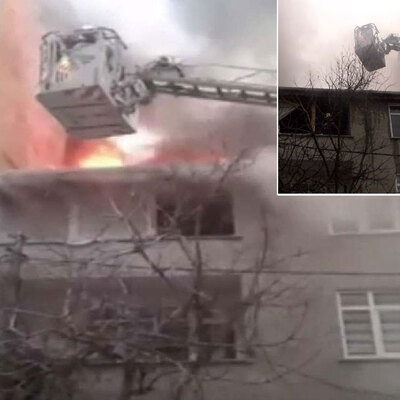 Bir ağaç iki çocuğu kurtardı!