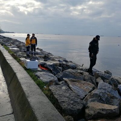 75 yaşındaki kadının cansız bedeni denizde bulundu!