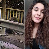 Görüntü netleşti! Viyadükteki Gülistanmış!