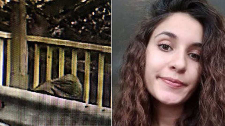 Görüntü netleşti! Viyadükteki Gülistanmış!