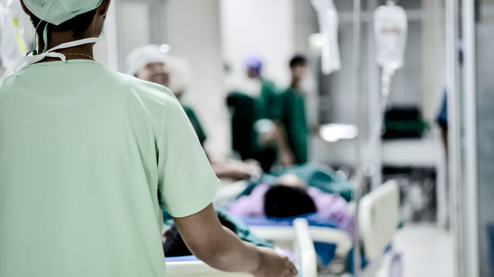 Domuz gribinin belirtileri nelerdir?