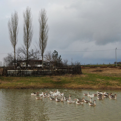 Sahibi olduğu gölü satılığa çıkardı!