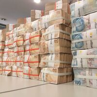 İhtiyat akçesi kâra katılarak dağıtılacak