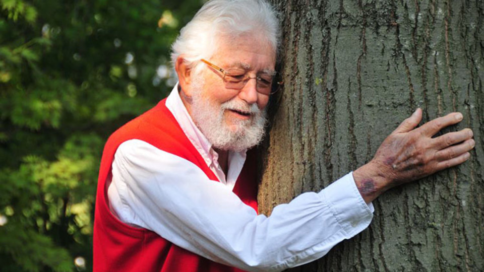 Hayrettin Karaca kimdir?