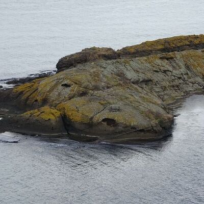Yıllarca kimse farkına varmadı! Şaşırttı