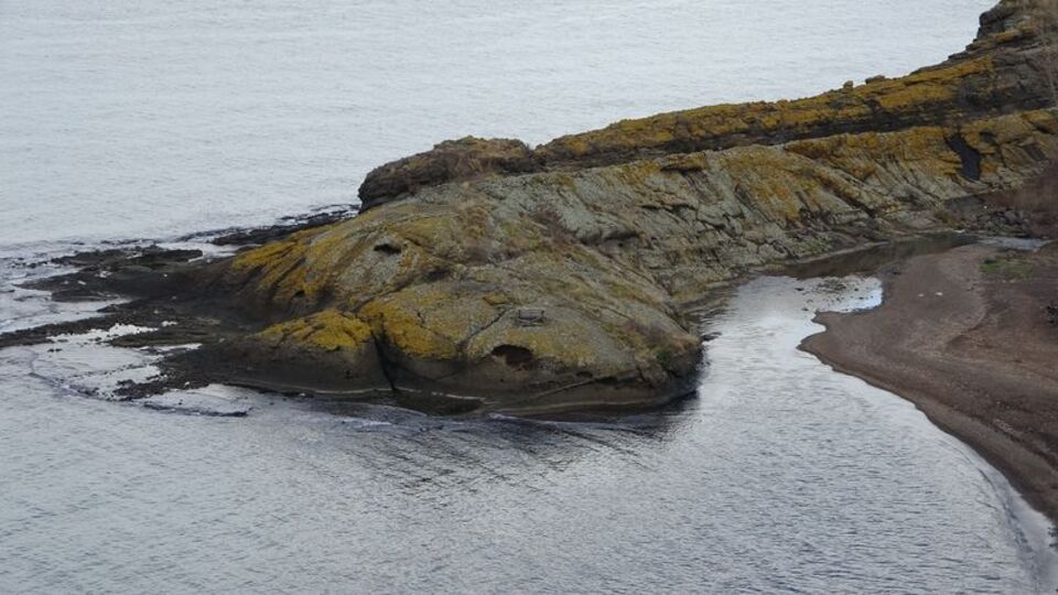 Yıllarca kimse farkına varmadı! Şaşırttı