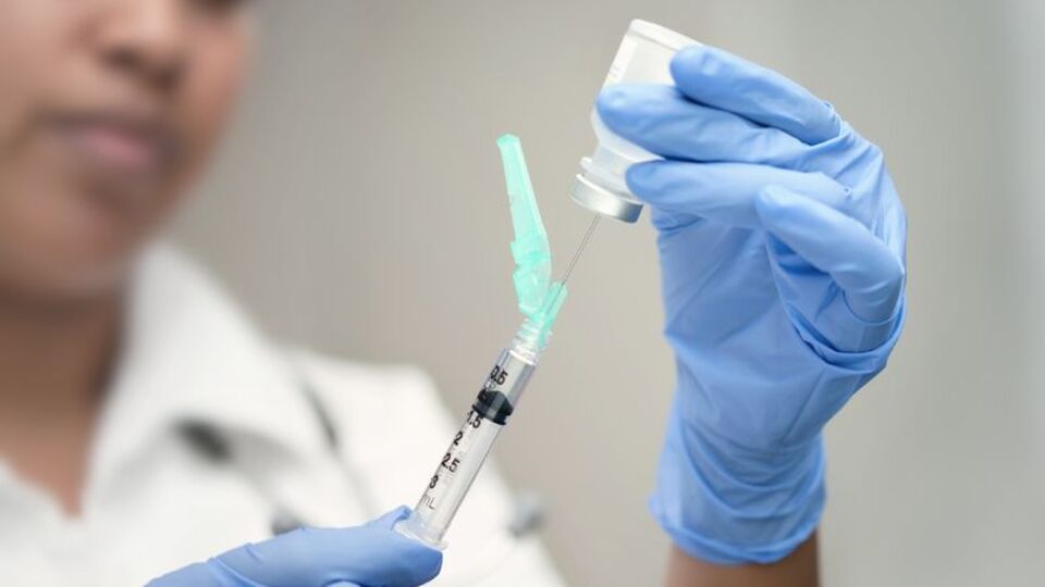 Domuz gribi belirtileri neler?