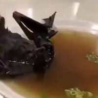 Koronavirüs yarasa çorbasından mı bulaştı?