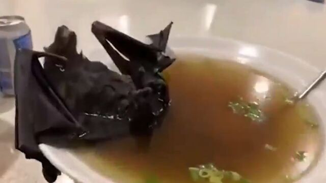 Koronavirüs yarasa çorbasından mı bulaştı?