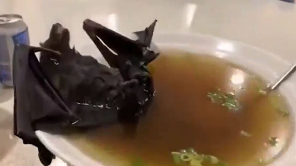 Koronavirüs yarasa çorbasından mı bulaştı?