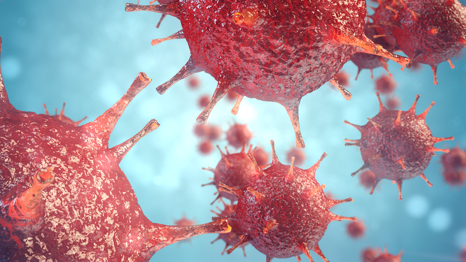 Dünya alarmda! Karantinaya alınan kişi böyle görüntülendi