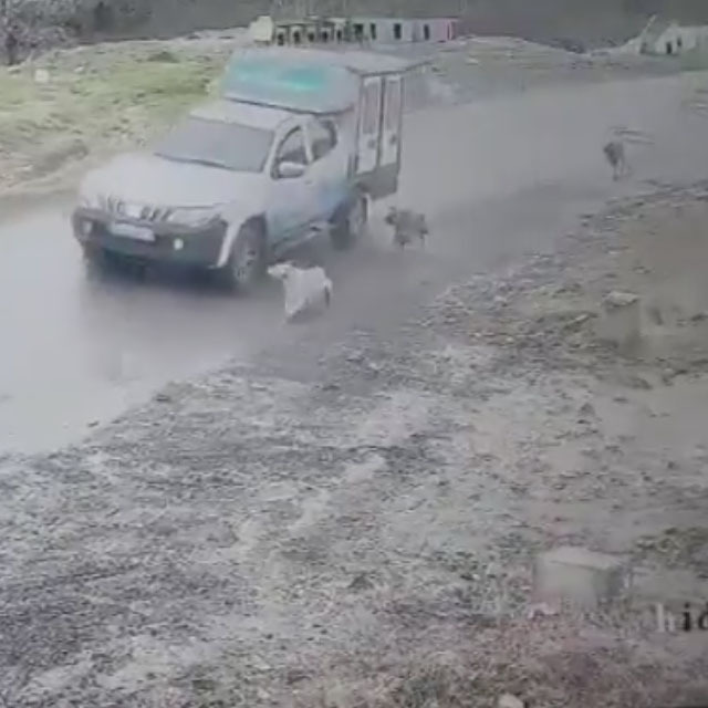 Belediye aracıyla vicdansızlık
