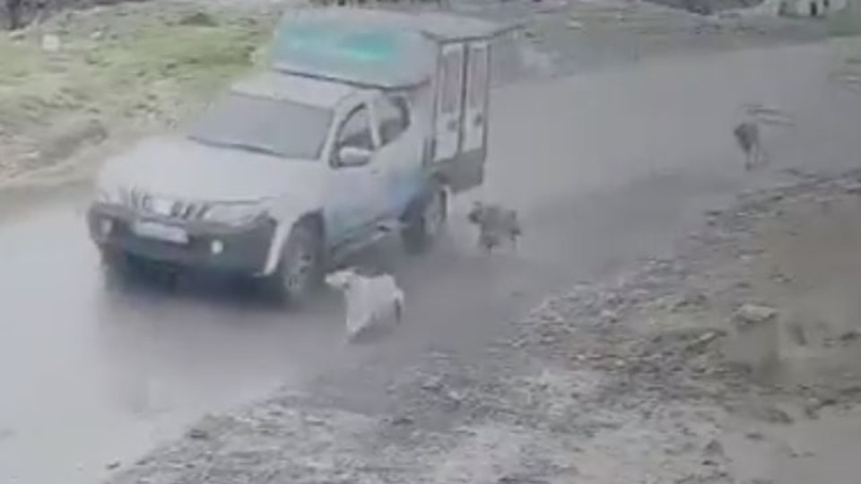 Belediye aracıyla vicdansızlık