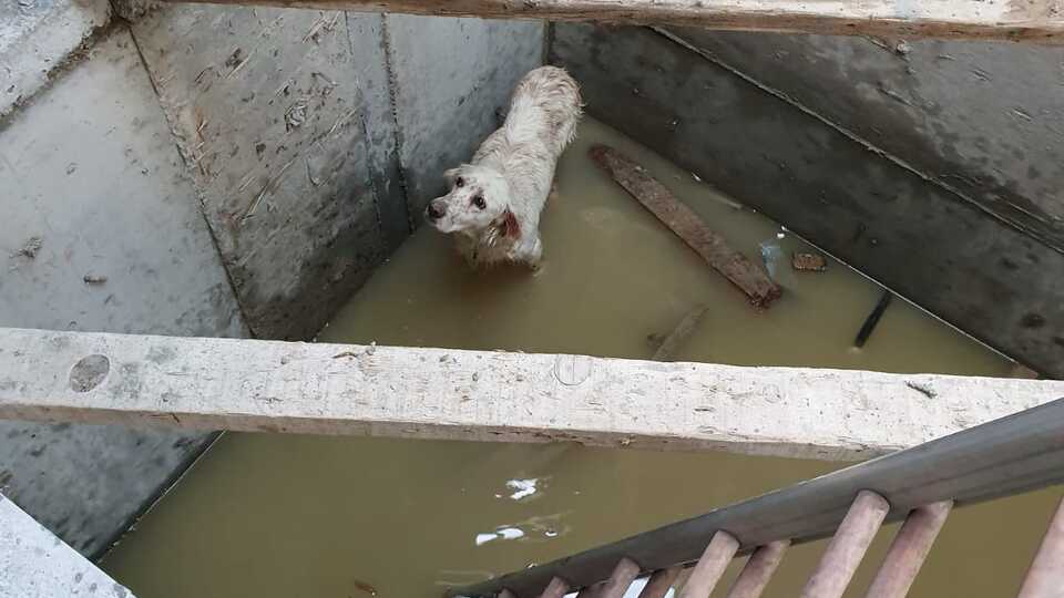 Böyle kurtarılmayı bekledi