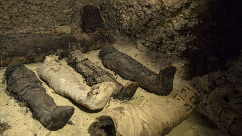 İlk kez başardılar! Sesi geri döndü