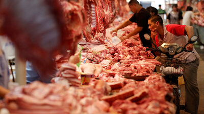 Çin'de 'vahşi hayvan ticaretine' yasak!