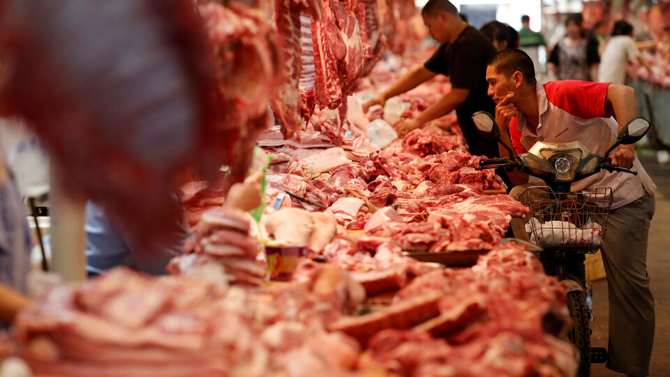 Çin'de 'vahşi hayvan ticaretine' yasak!