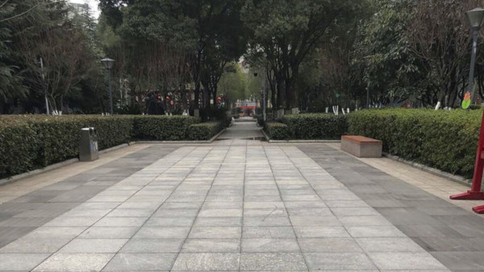 Çin'de panik! Sokaklar bomboş...