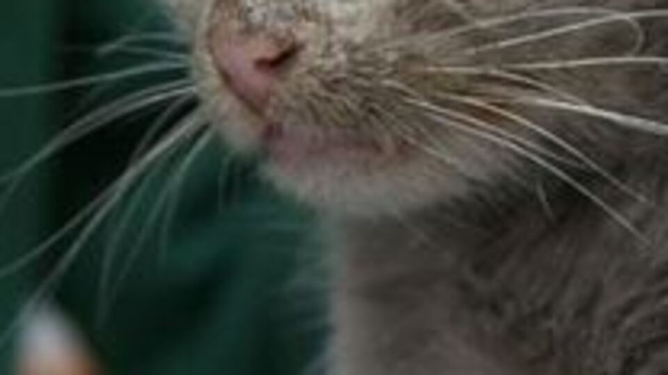 Enkaz altından çıkarıldı