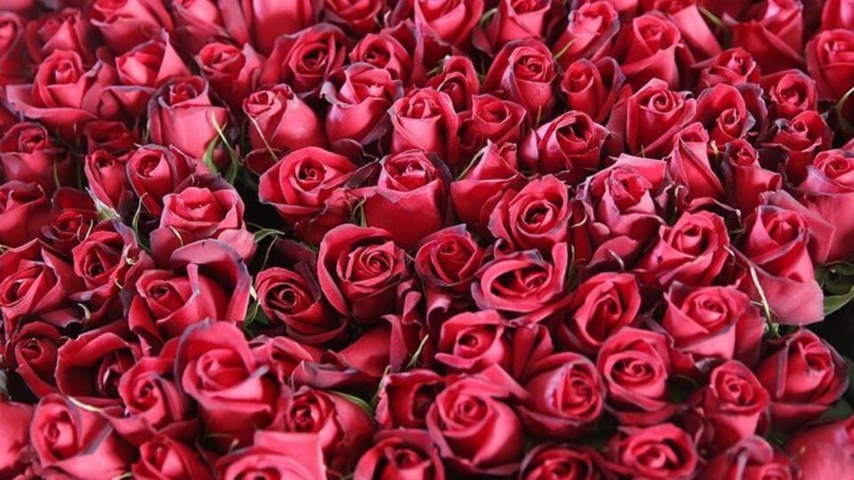 14 Şubat Sevgililer Günü ne zaman?