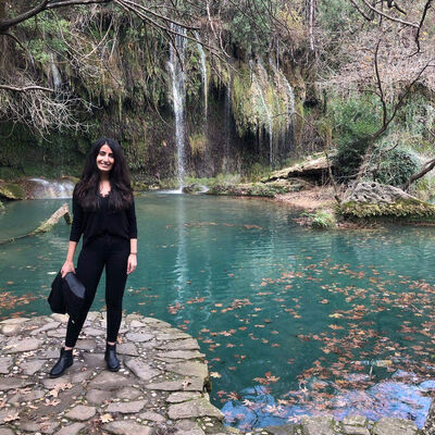 Yolun karşısına geçecekti!