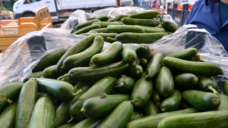 İstanbul'da ocakta en çok salatalık fiyatı arttı