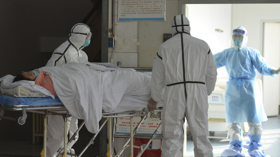 Koronavirüsü izole etmeyi başardılar!