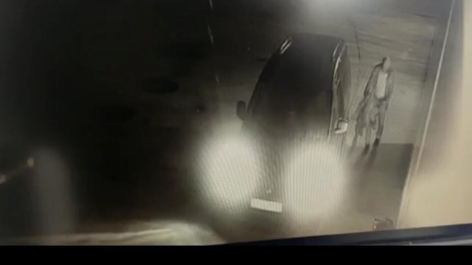 Kaza değil vahşet!